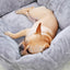 Dog Sofa Bed