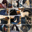 Foldable Dog Bed