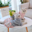 Puppy Thicken Cotton Coats