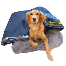 Foldable Dog Bed