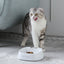 Dog Smart Bowl