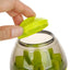 Transparent Colors Toy
