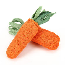 Carrot Shaped Toy