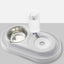 Pet Dish with Water Fountain