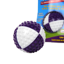Elastic Ball Pet Toy