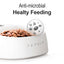 Dog Smart Bowl